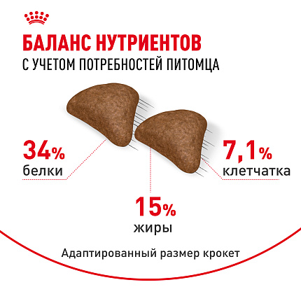 Сухой корм Royal Canin Hairball Care (ХЭЙРБОЛЛ КЭА) 10 кг